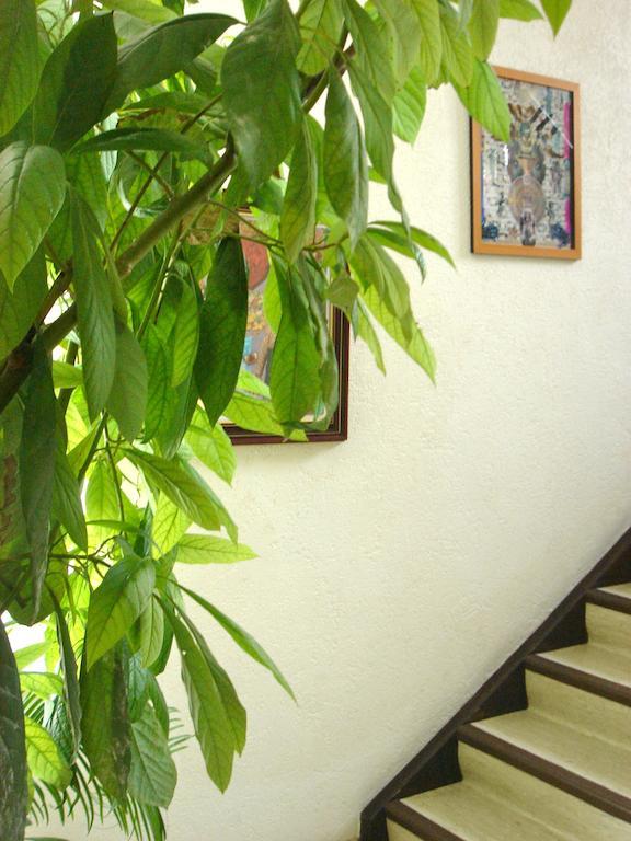 Oda ve Kahvaltı Dakini's